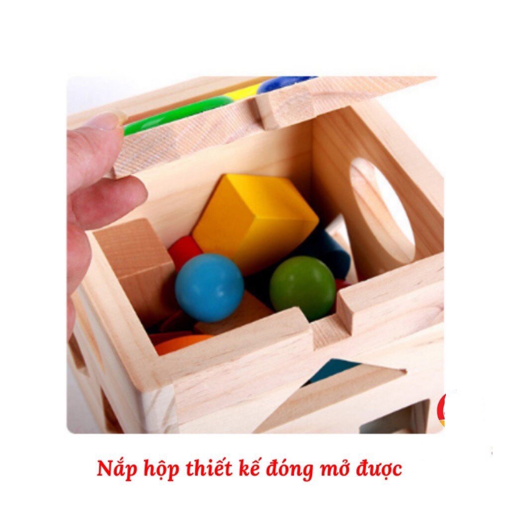 Hộp thả hình khối (24 bộ/thùng)