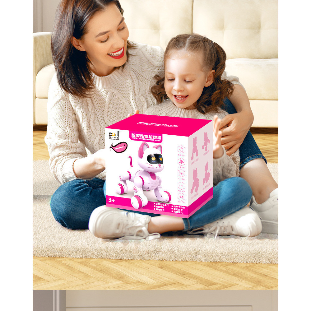 Robot Mèo có điều khiển(12 bộ/thùng)