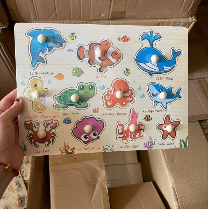 Bảng Núm Gỗ (100 bộ/thùng)