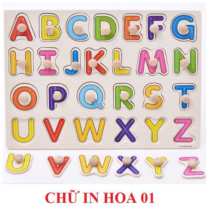 Bảng Núm Gỗ (100 bộ/thùng)