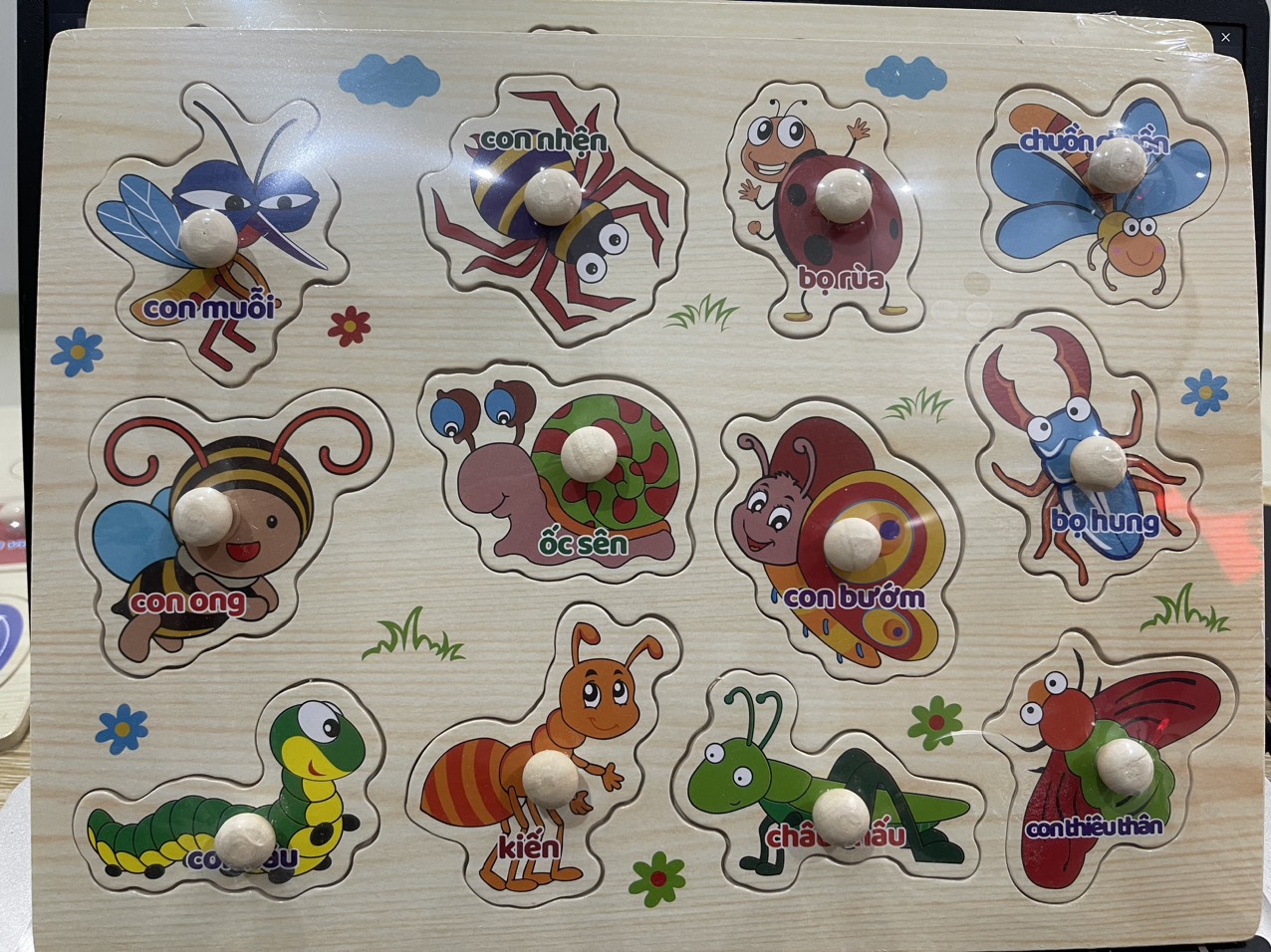 Bảng Núm Gỗ (100 bộ/thùng)