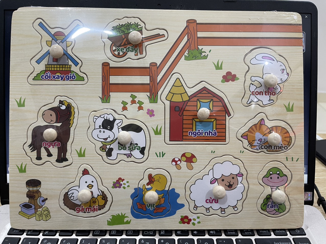 Bảng Núm Gỗ (100 bộ/thùng)