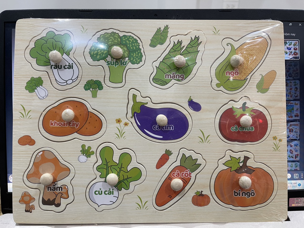 Bảng Núm Gỗ (100 bộ/thùng)