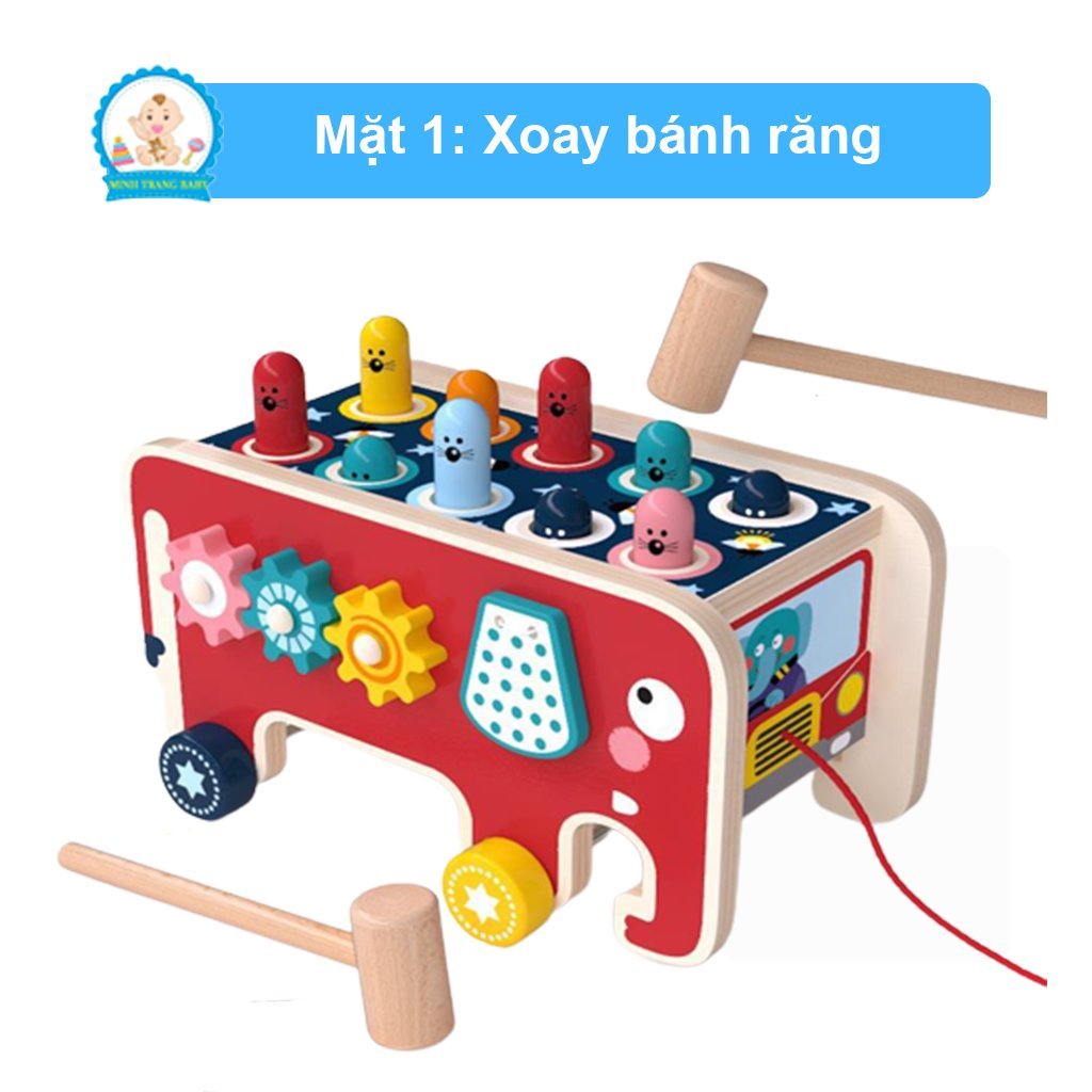 Đập chuột con voi có đàn (24 bộ/thùng)