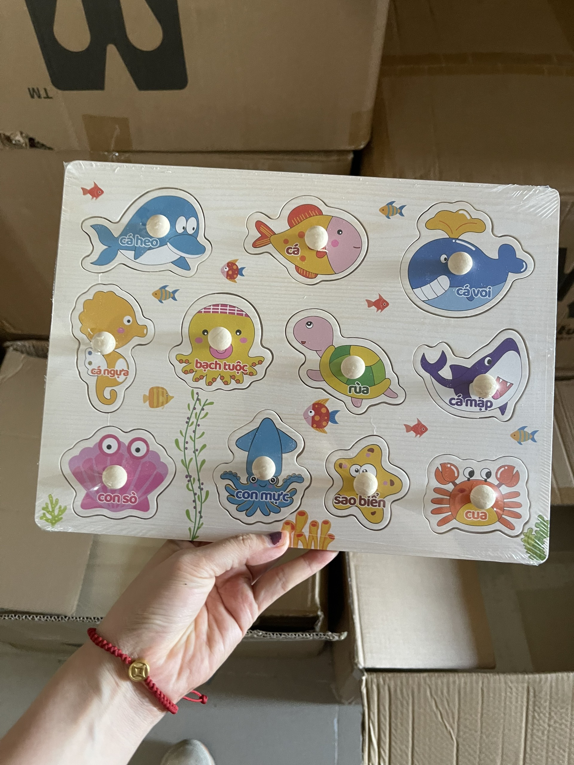 Bảng Núm Gỗ (100 bộ/thùng)