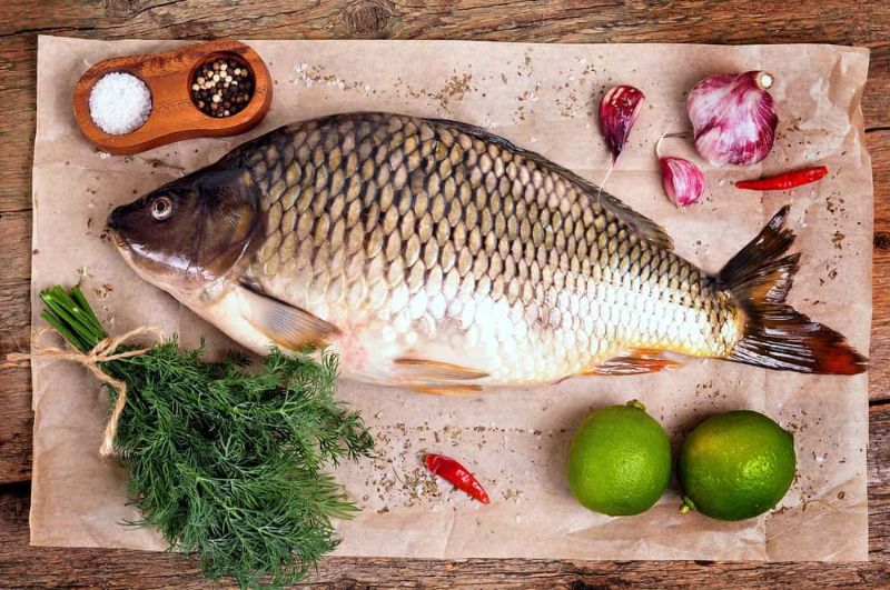 Cá chép nấu gì ngon? Những gợi ý của Elmich dành cho bạn