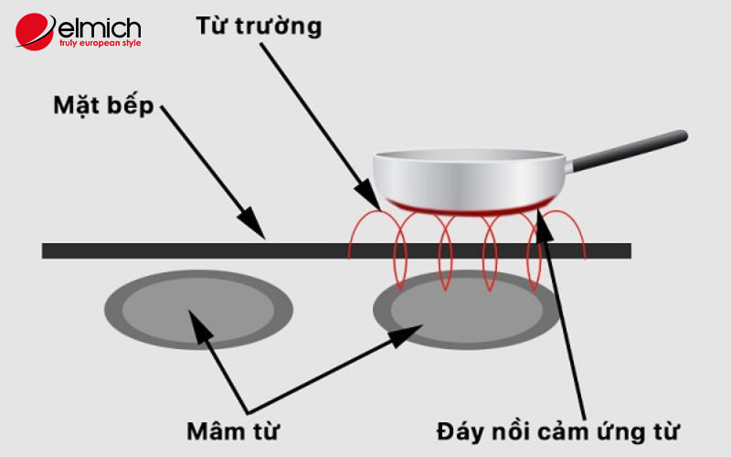 Hình 1: Bếp từ được cấu tạo như thế nào, bao gồm những gì?