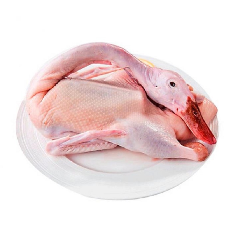 Chọn mua vịt xiêm sẽ ngon hơn các loại vịt khác