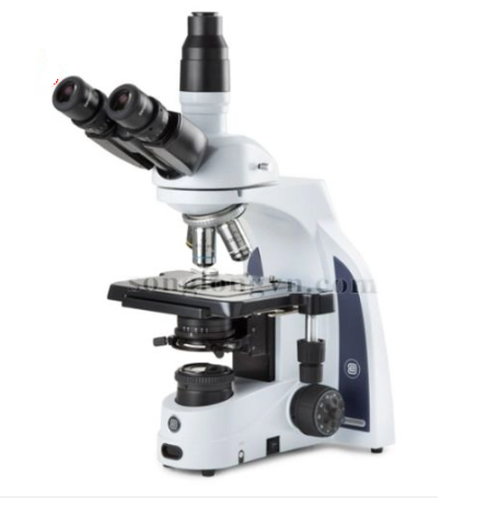 Kính hiển vi sinh học 3 mắt IS-1153-PLI