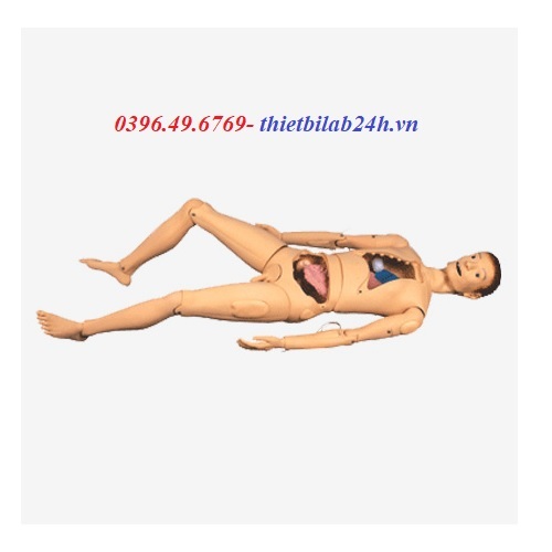 MÔ HÌNH CHĂM SÓC ĐIỀU DƯỠNG CƠ BẢN GD/H100S