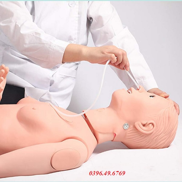 MÔ HÌNH CHĂM SÓC ĐIỀU DƯỠNG CƠ BẢN NỮ MÔ PHỎNG CPR