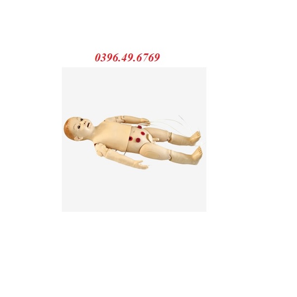 MÔ HÌNH CHĂM SÓC TRẺ EM 1 TUỔI ĐẦY ĐỦ CHỨC NĂNG GD/FT332