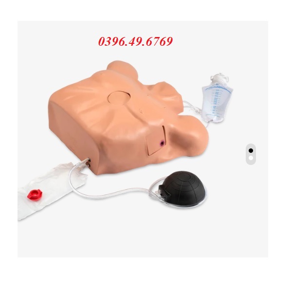 Mô hình chọc dò màng tim- chọc dò màng phổi LF03769U 