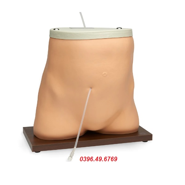 MÔ HÌNH CHỌC HÚT DỊCH MÀNG BỤNG LF01027 NASCO