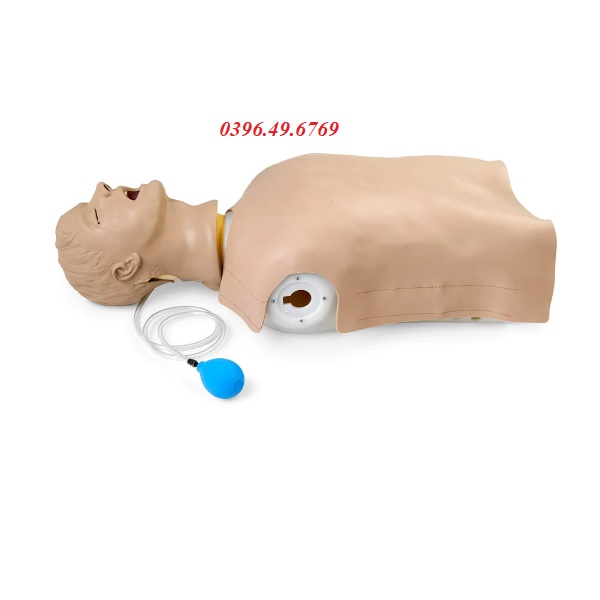 MÔ HÌNH ĐẶT NỘI KHÍ QUẢN LF03669 NASCO