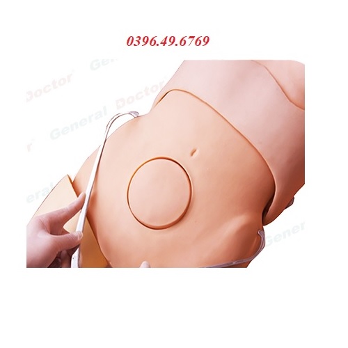 MÔ HÌNH ĐO KHUNG CHẬU MODEL GD/F22
