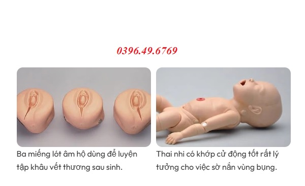 Mô hình thai nhi cho mô hình bà mẹ S552