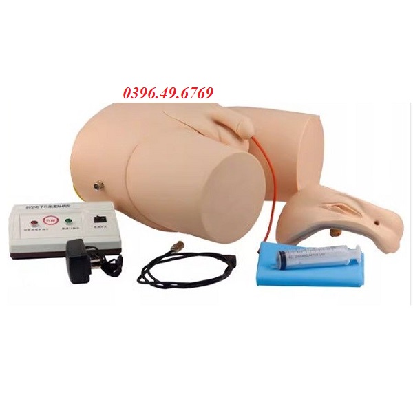 Mô hình đặt sonde tiểu nam nữ có cảnh báo điện tử