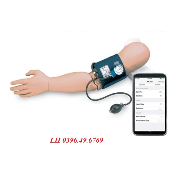 MÔ HÌNH THỰC HÀNH ĐO HUYẾT ÁP CÁNH TAY ADAM ROUILLY AN775