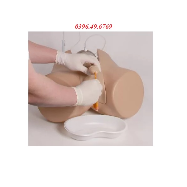 MÔ HÌNH THỰC HÀNH THÔNG TIỂU NAM NỮ VÀ THỤT THÁO MODEL 7030 HÃNG ZIMMER ĐỨC