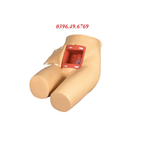 MÔ HÌNH THỰC HÀNH THỤT THÁO VÀ HỖ TRỢ ĐẠI TIỆN GD/H35