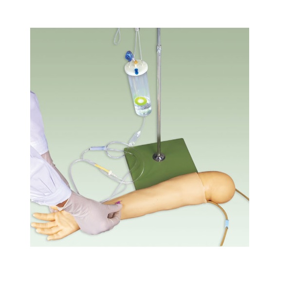 MÔ HÌNH THỰC HÀNH TIÊM TĨNH MẠCH CÁNH TAY TRẺ EM GD/HS8