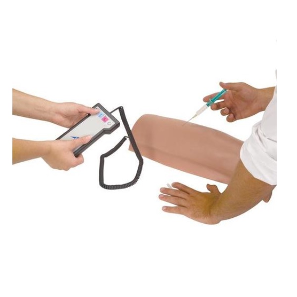 MÔ HÌNH TIÊM BẮP ĐÙI ĐIỆN TỬ- 1000511[P56]- 3B Scientific
