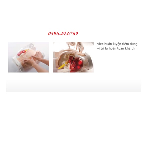 MÔ HÌNH TIÊM BẮP MÔNG ĐIỆN TỬ CAO CẤP MODEL M152 SAKAMOTO