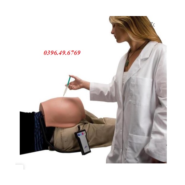 MÔ HÌNH THỰC HÀNH TIÊM MÔNG 1000514 [P57] 3B SCIENTIFIC