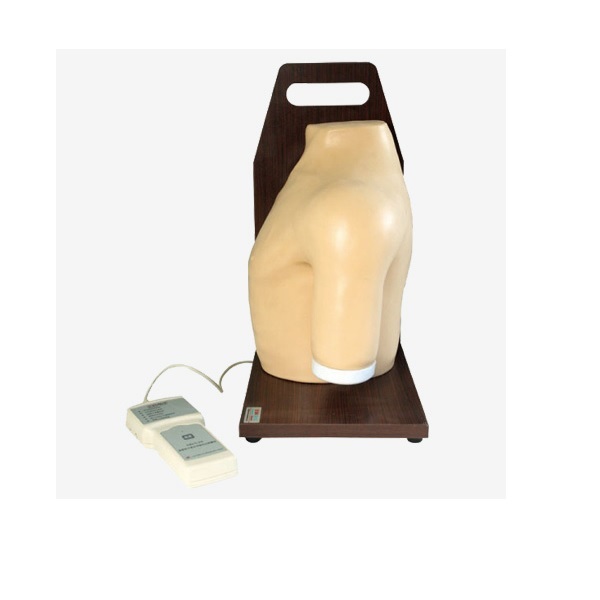 Mô hình tiêm nội khớp vai GD/L72