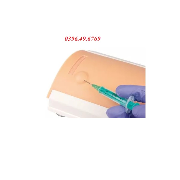 MÔ HÌNH THỰC HÀNH TIÊM TRONG DA CAO CẤP MODEL 7110 HÃNG ZIMMER