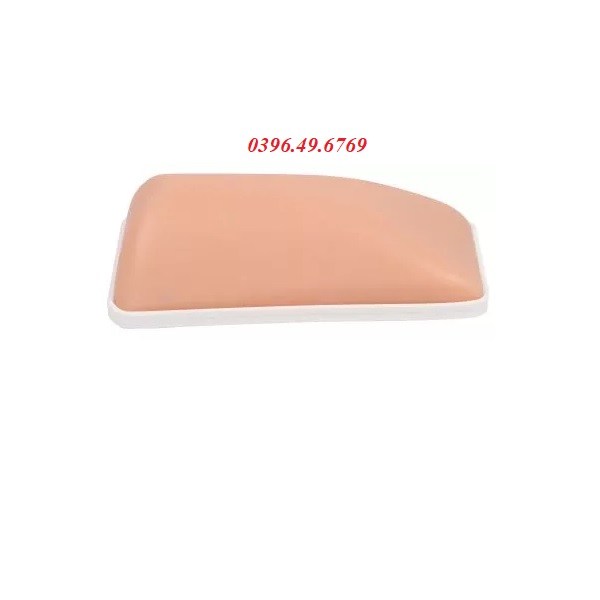 MÔ HÌNH THỰC HÀNH TIÊM TRONG DA , TIÊM DƯỚI DA VÀ TIÊM BẮP CAO CẤP MODEL 7140 HÃNG ZIMMER ĐỨC