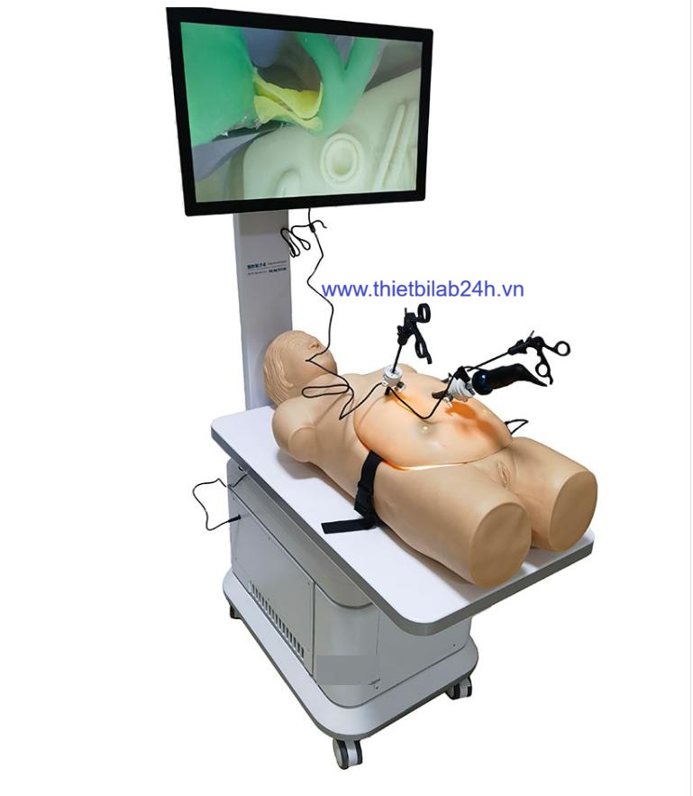 Mô hình thực hành nội soi ổ bụng