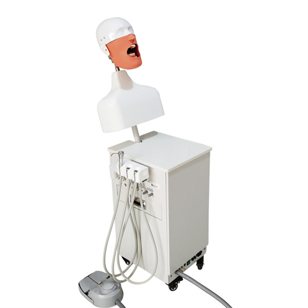 Mô hình thực hành mô phỏng nha khoa