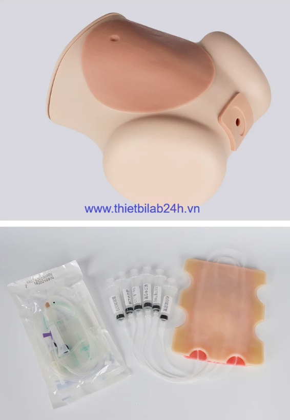 Mô hình thực hành nội soi ổ bụng, khám phụ khoa