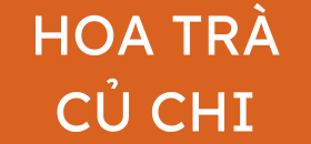 Hoa Trà Củ Chi