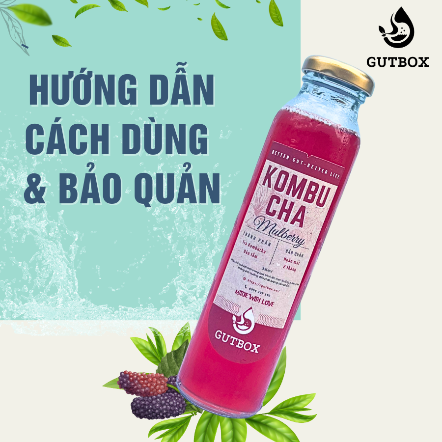 CÁCH DÙNG & BẢO QUẢN KOMBUCHA - KEFIR - YOGURT GUTBOX