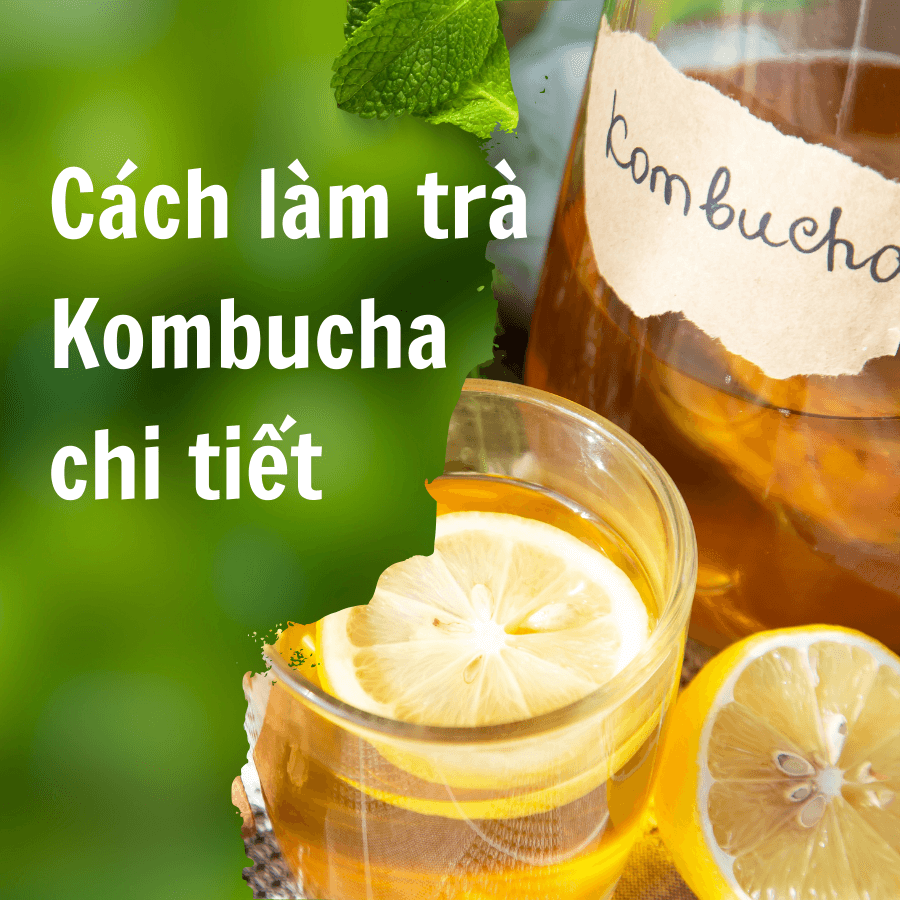 CÁCH LÀM TRÀ KOMBUCHA CHI TIẾT