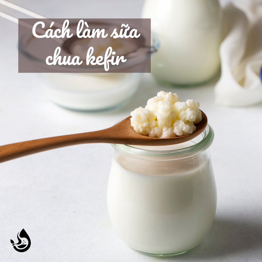 CÁCH LÀM SỮA CHUA KEFIR VÀ NHỮNG ĐIỀU CẦN LƯU Ý
