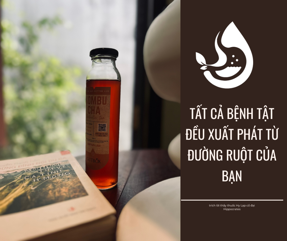 MỘT ĐƯỜNG RUỘT VÀNG
