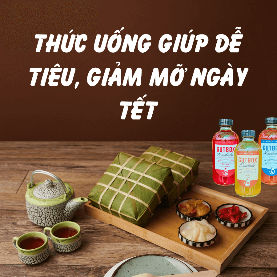 TRÀ KOMBUCHA - THỨC UỐNG HỖ TRỢ TIÊU HÓA VÀ GIẢM MỠ DỊP TẾT