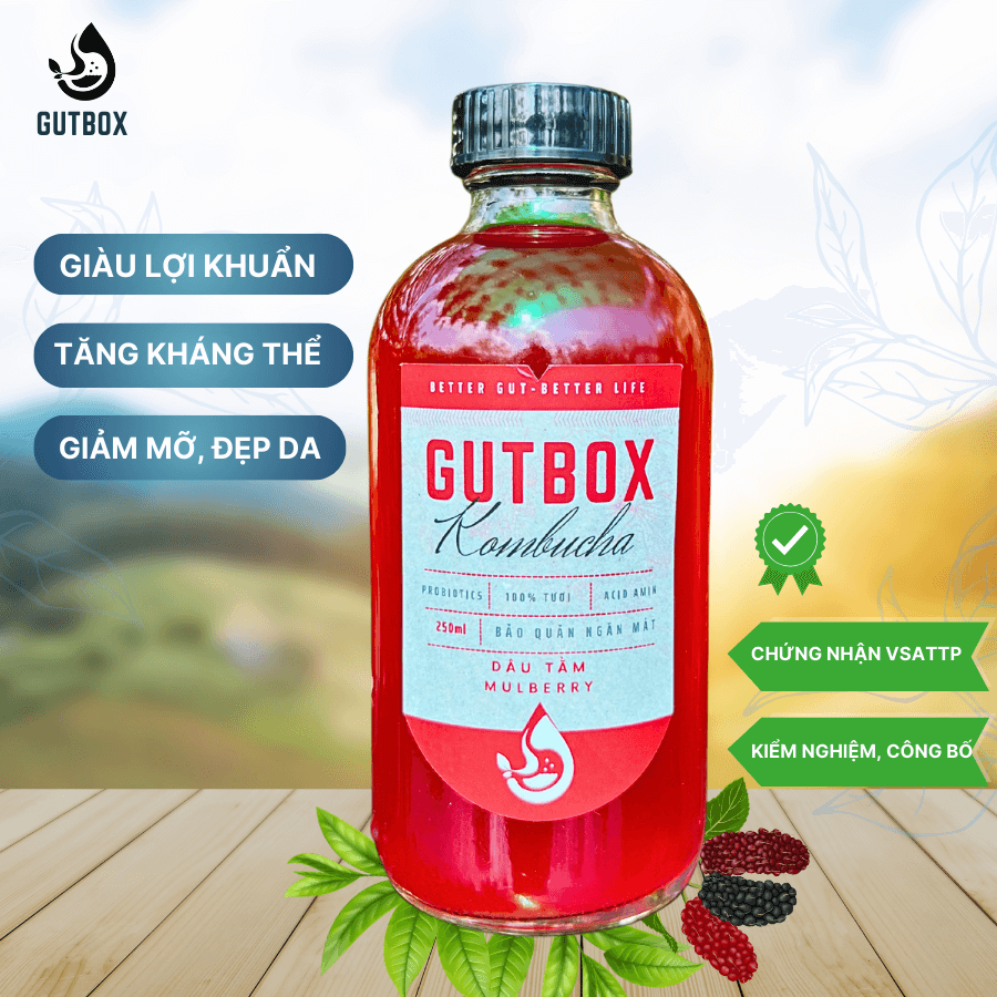 Gutbox Kombucha Dâu Tằm