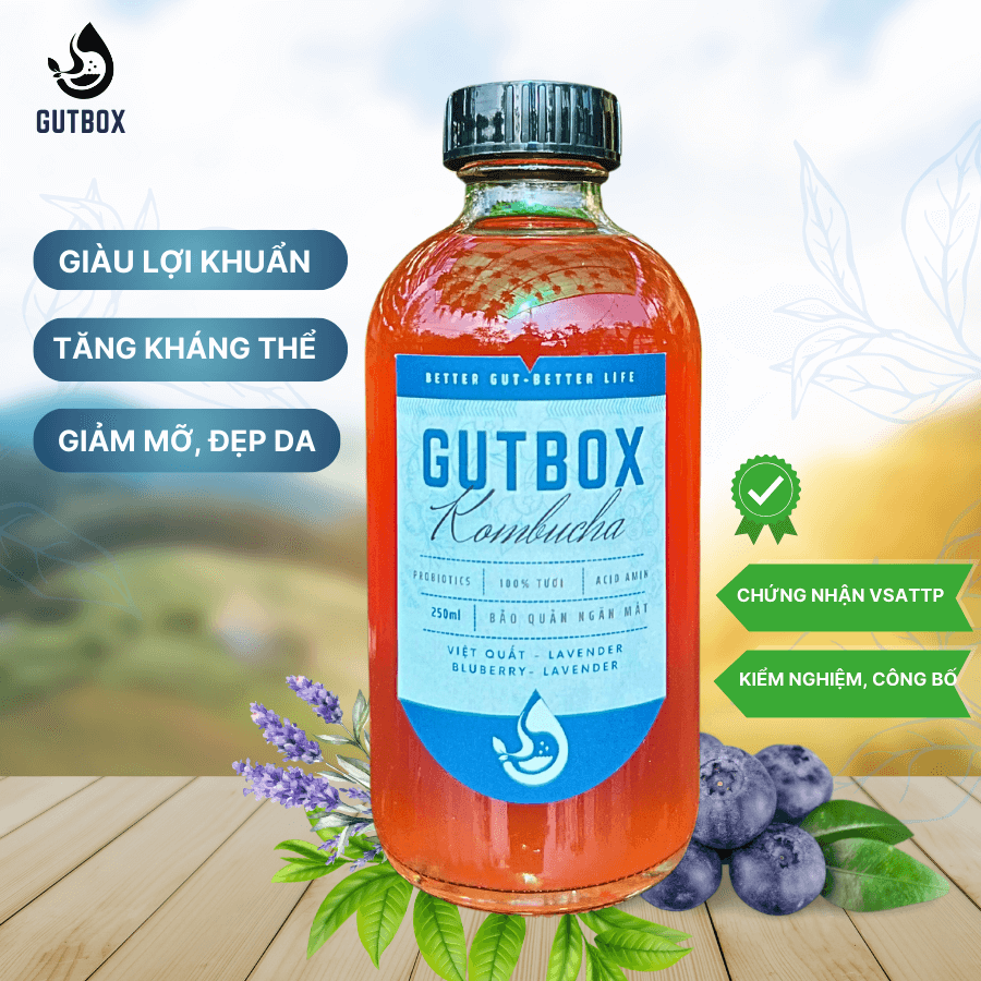 Gutbox Kombucha Việt Quất-Lavender