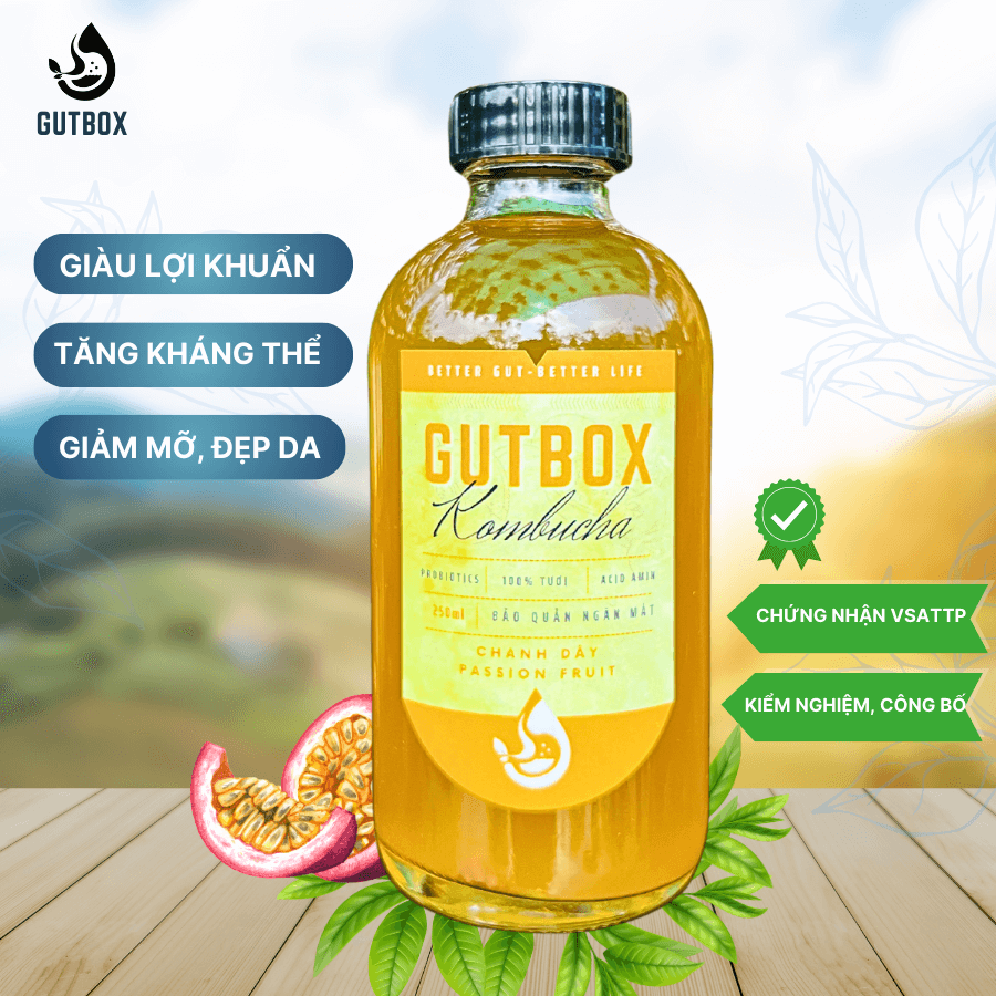 Gutbox Kombucha Chanh Dây