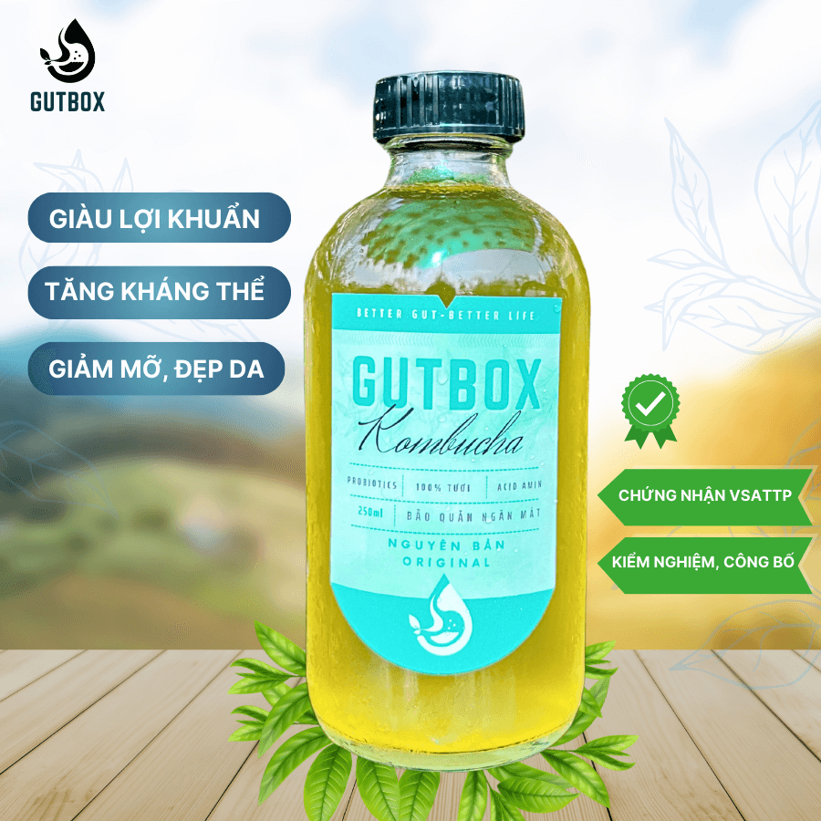 Gutbox Kombucha nguyên bản