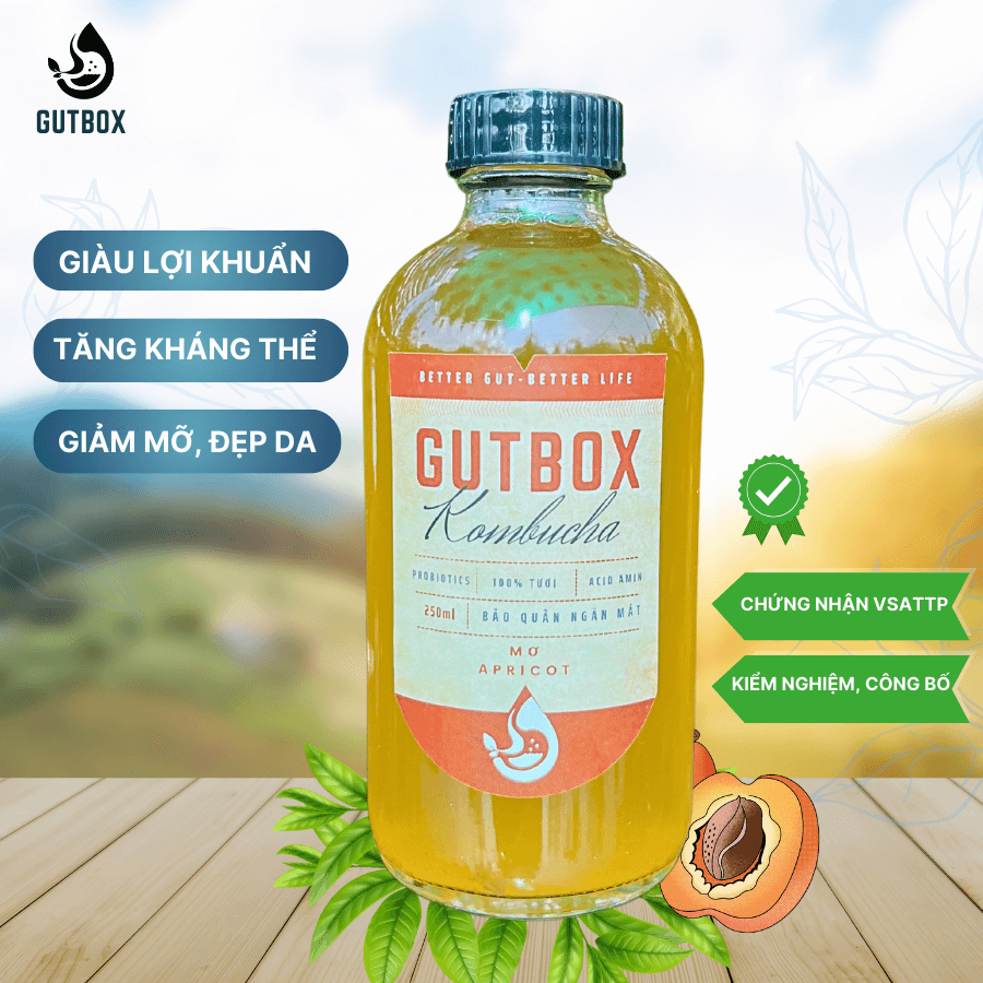 Gutbox Kombucha Mơ