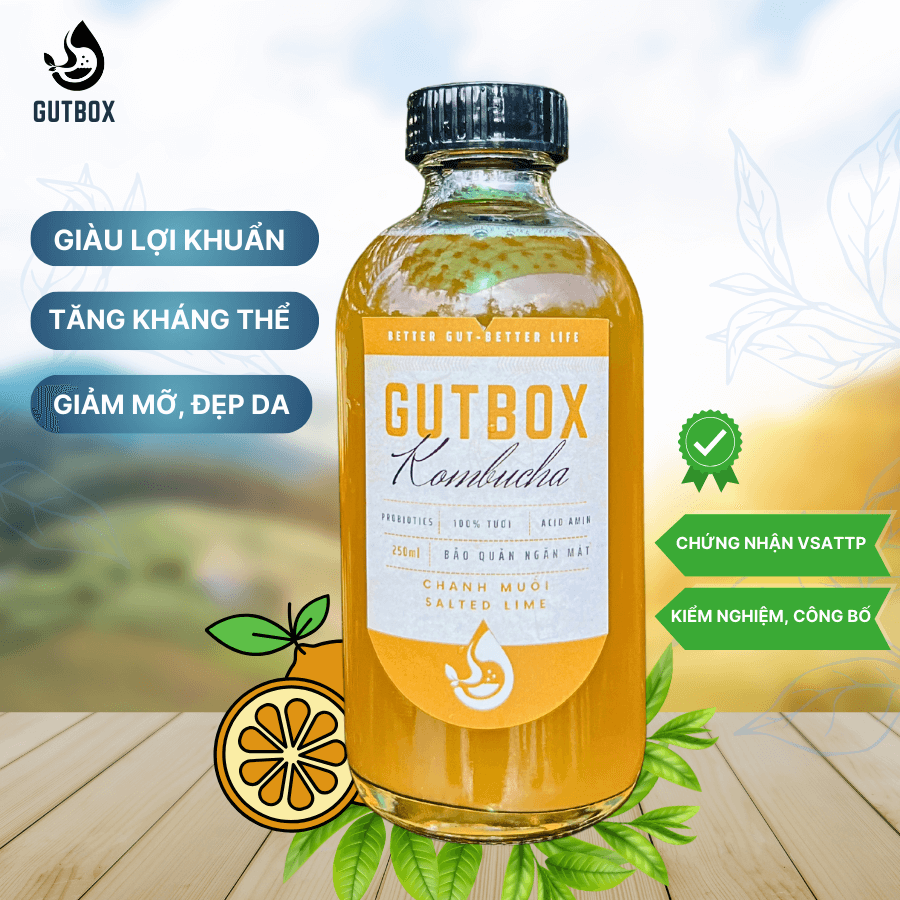 Gutbox Kombucha Chanh Muối