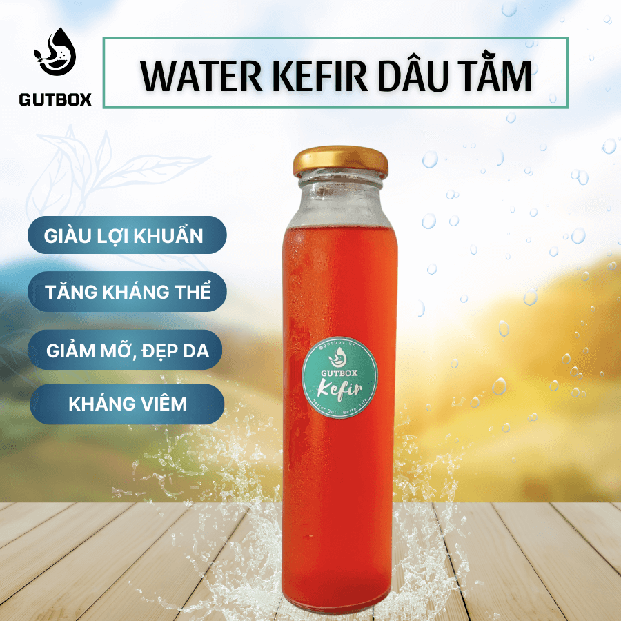 Water kefir Dâu Tằm