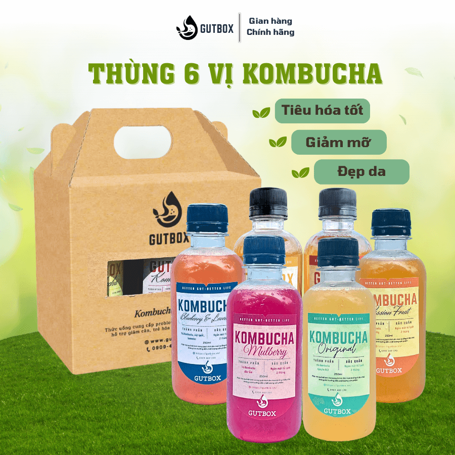 (TẶNG QUÀ) Thùng 6 chai Kombucha Gutbox (250ml)