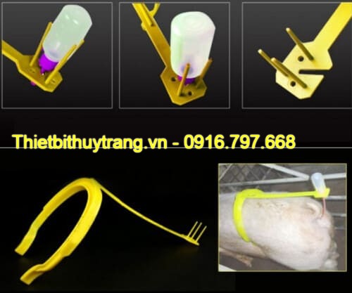 Đai Kẹp Phối Cho Lợn